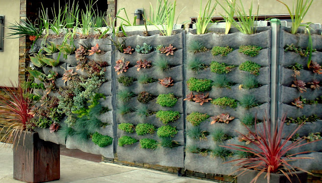 Restaurante tem muro com jardim vertical