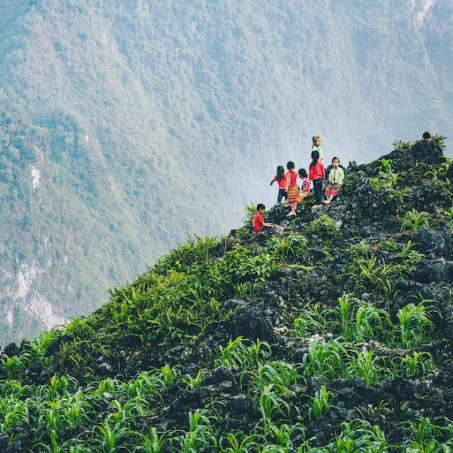 Những đứa trẻ vùng cao