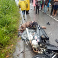 Laga Kambing Dengan Truk Mitsubishi di Pangaribuan, Muktar Tewas