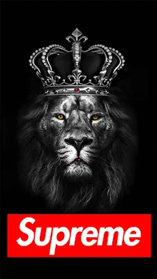 Wallpaper For Phone Lion, King, Black, Supreme