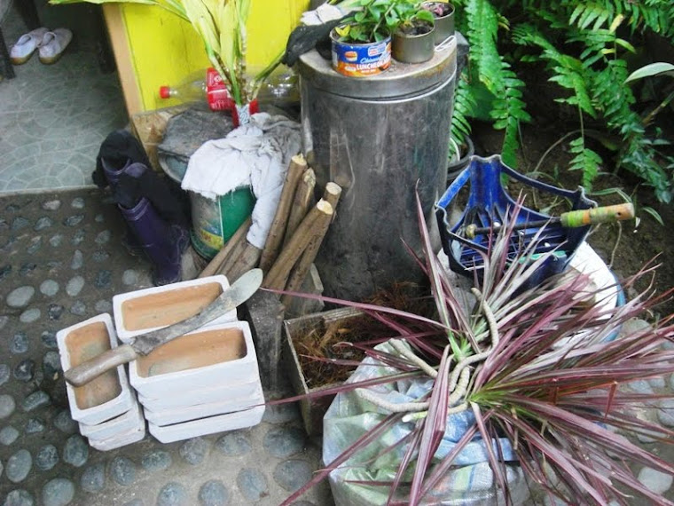 MHE is committed to propagation of plants and their well-being.