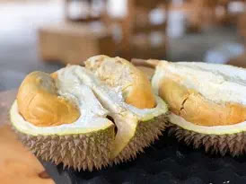 Jangan Buang, Ini Manfaat Kulit Durian untuk Tanaman