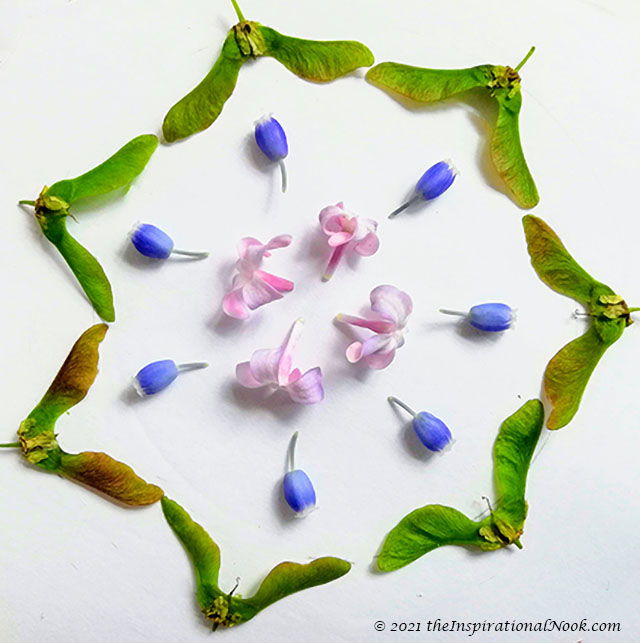 Floral art, floral flatlay photo, maple seeds, grape hyacinth, lilac florets, enthusiasm, ripples, mandala, floral mandala, collage, natural, nature art