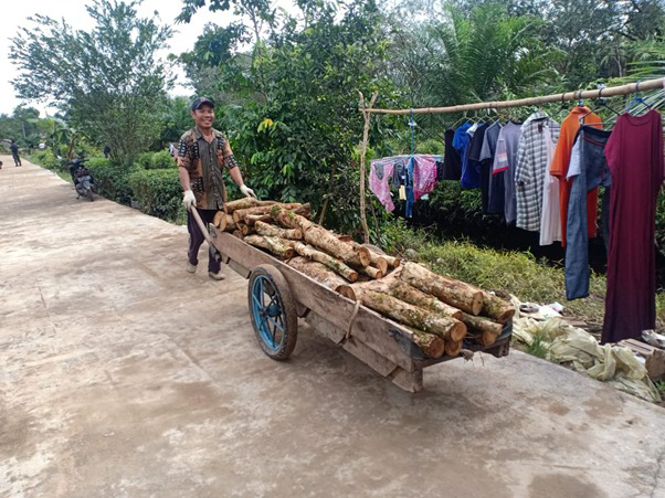 Warga Ceria Bawa Kayu Dengan Gerobak di Jalan Baru Hasil Program TMMD Ke-111 Kodim 1207/Pontianak