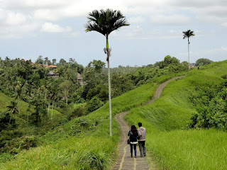 Tempat Wisata Ubud Dan Kintamani