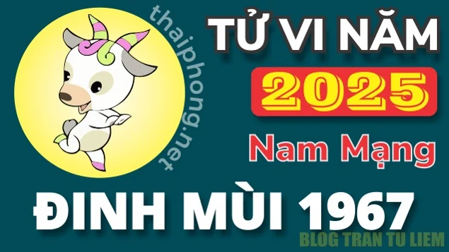 Tử Vi Tuổi Đinh Mùi 1967 Năm 2025 ( Ất Tỵ) - NAM MẠNG