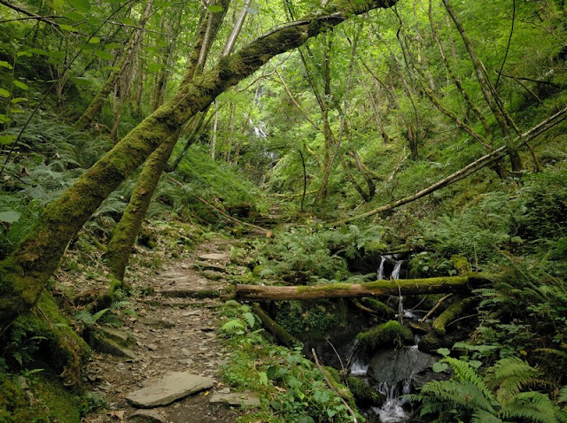 Sendero Cascada A'Salgueira