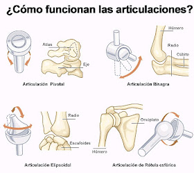 Imagen mostrando como funcionan las articulaciones 