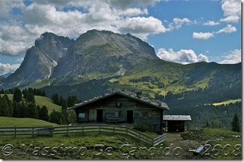 Alpe_Siusi_2008_SassoLungo4