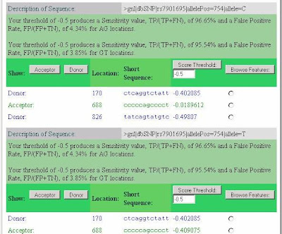 SplicePort analysis of rs7901695