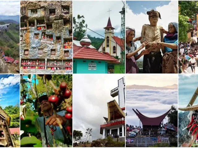 Fakta Wisata Keindahan Dan Budaya Tradisional Tana Toraja