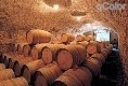 cellar