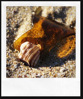 shell16