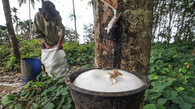 Dampak Virus Corona, Karet Sumsel Anjlok