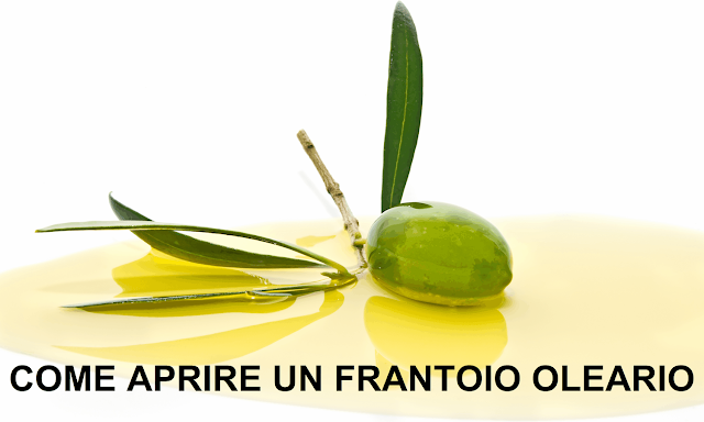 come-aprire-un-frantoio-oleario