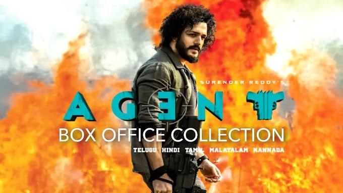 Agent Day 5 Box Office Collection Worldwide and Budget