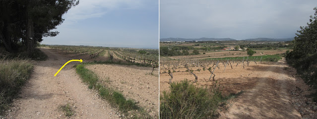 VILAFRANCA DEL PENEDÈS AL REIAL MONESTIR DE SANTA MARIA DE SANTES CREUS PERE EL GRAN - Seguint la ruta del seu enterrament pel Camí Ral, carrerada de Vilafranca del Penedès a Montblanc en direcció a Vilardida