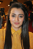 Trisha photos at Cheekati Rajyam event-thumbnail-28