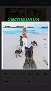 женщина на берегу вместе с кенгуру в Австралии