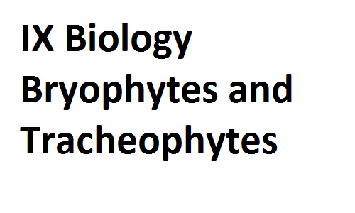 Matric Notes Class IX Biology Bryophytes and Tracheophytes matricnotes0