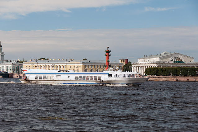 Panorama of the city from the Neva River (photo_2)