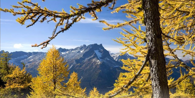 Central Cascade Mountains, Glacier Peak Wilderness, Washington, USA