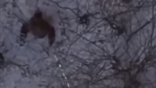 Drone footage of Bigfoot caught on recent video over the USA.