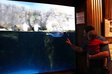 20130817 aquarium day (76) edit