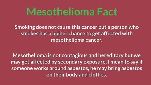 mesothelioma meme copy and paste