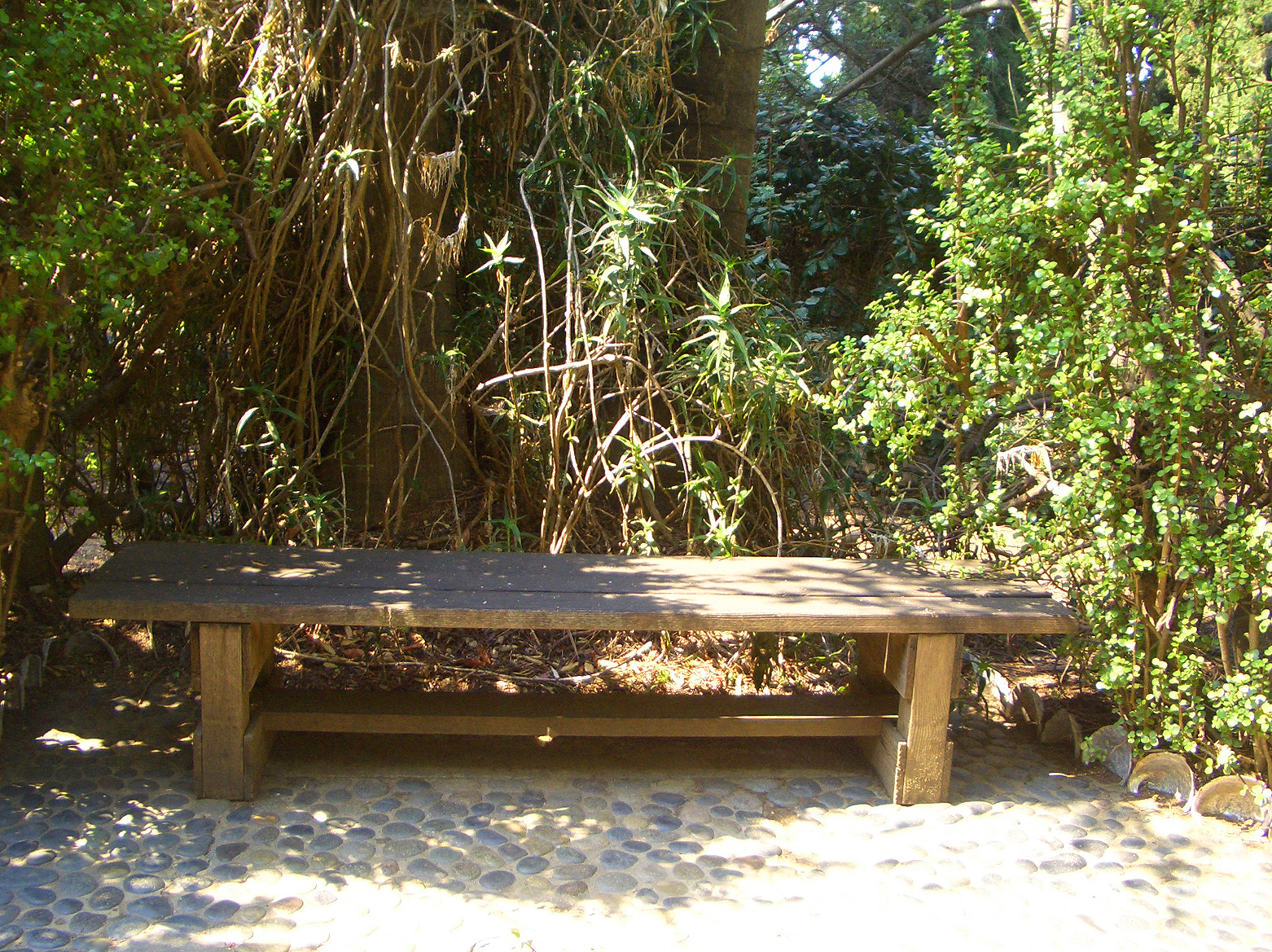 japanese garden bench reader's gallery