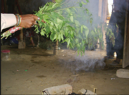 Cattle Wound Treatment at Home