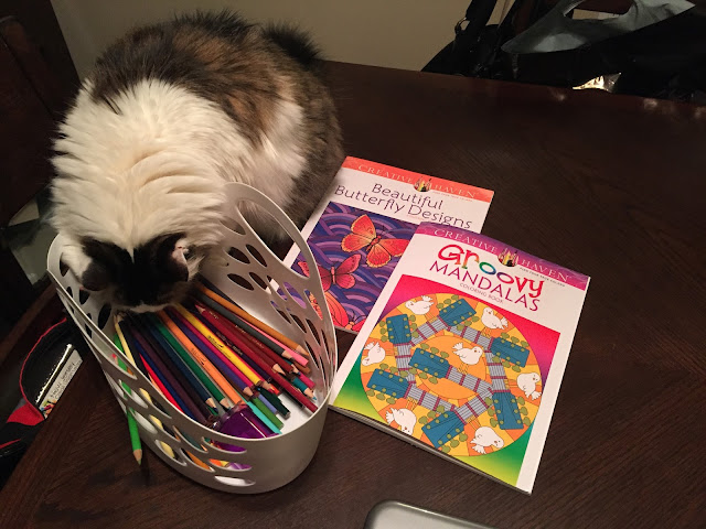 grown up coloring books