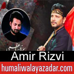 https://humaliwalaazadar.blogspot.com/2019/09/amir-rizvi-nohay-2020.html