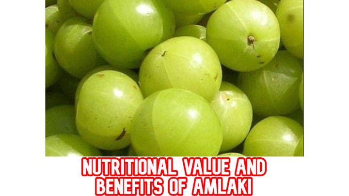 Huge Nutritional value and Medical benefits of Amlaki(Amla)! - healthforty