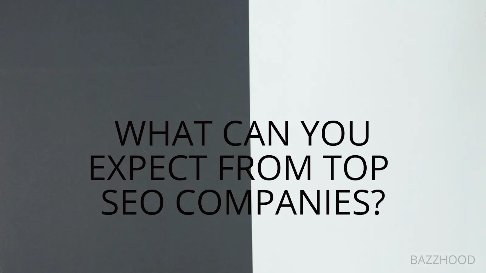 What is the best SEO company?