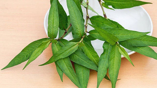 Một loại rau gia vị ở Việt Nam mọc um tùm, sang nước ngoài thành của hiếm, giá bán tăng hơn 120 lần  - Ảnh 4.