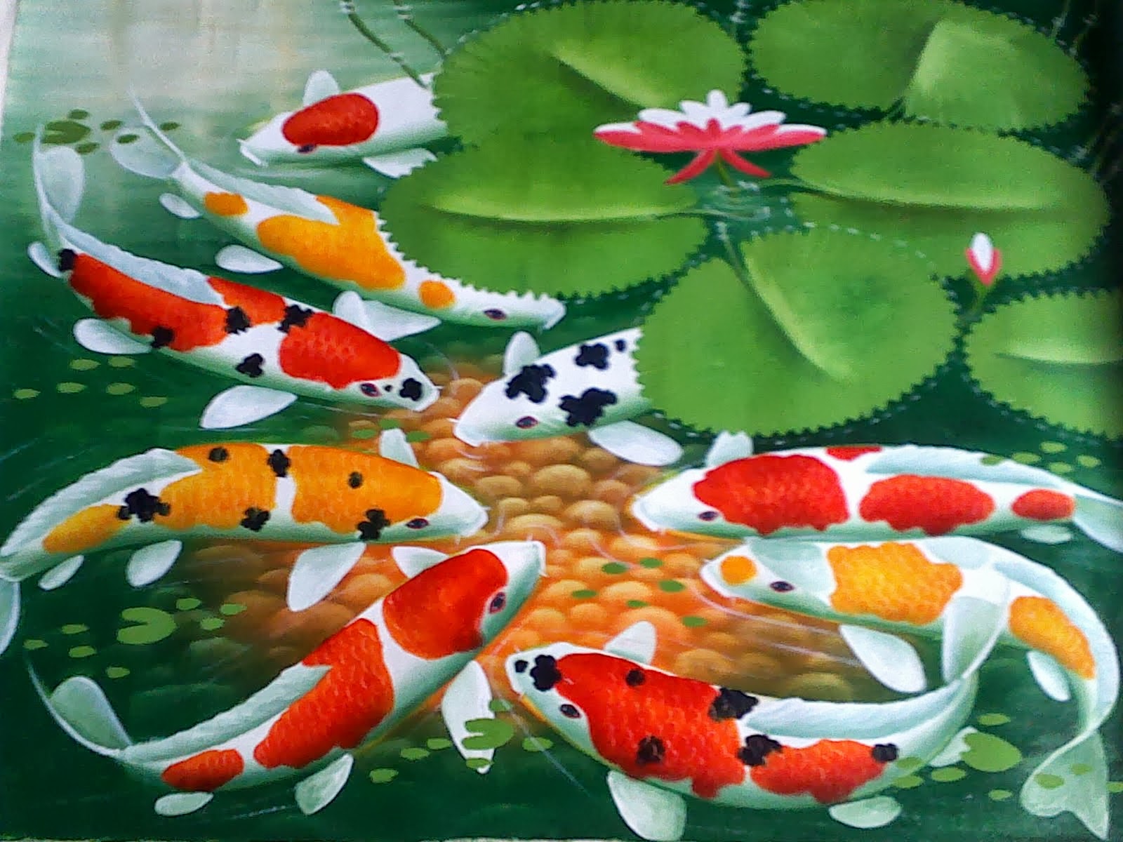 Gambar Ikan Koi | Dunia Binatang