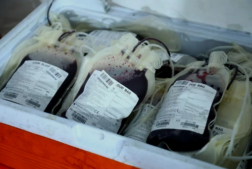 taroudant press -  تراجع مخزون الدم في الدار البيضاء يعجل بإطلاق حملة تحسيسية للتبرع - جريدة تارودانت بريس