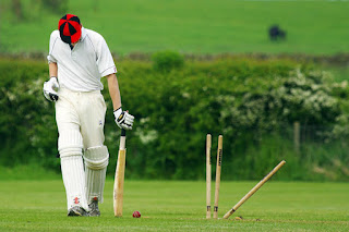 Are Crickets Harmful?