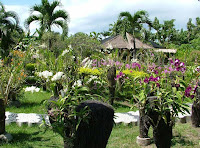 Bali orchid Garden
