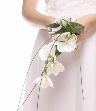 This is a simple bouquet that could be carried by the bride