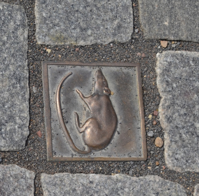 One could see rats everywhere in Hameln