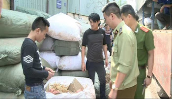 Hiểm họa từ thuốc Đông y kém chất lượng đối với sức khỏe