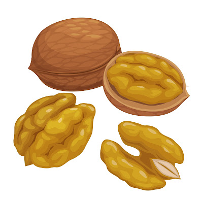 100+ Free Cartoon Images of Walnut dry fruit