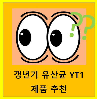 갱년기 유산균 YT1 추천