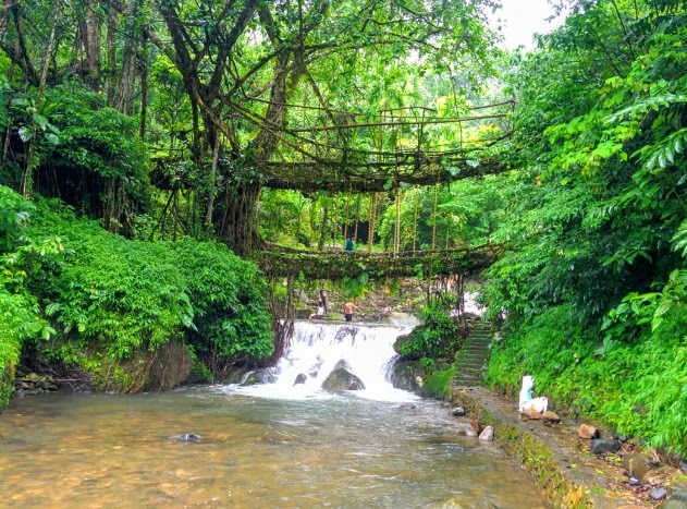 Trek to the living root bridges of Meghalaya, India