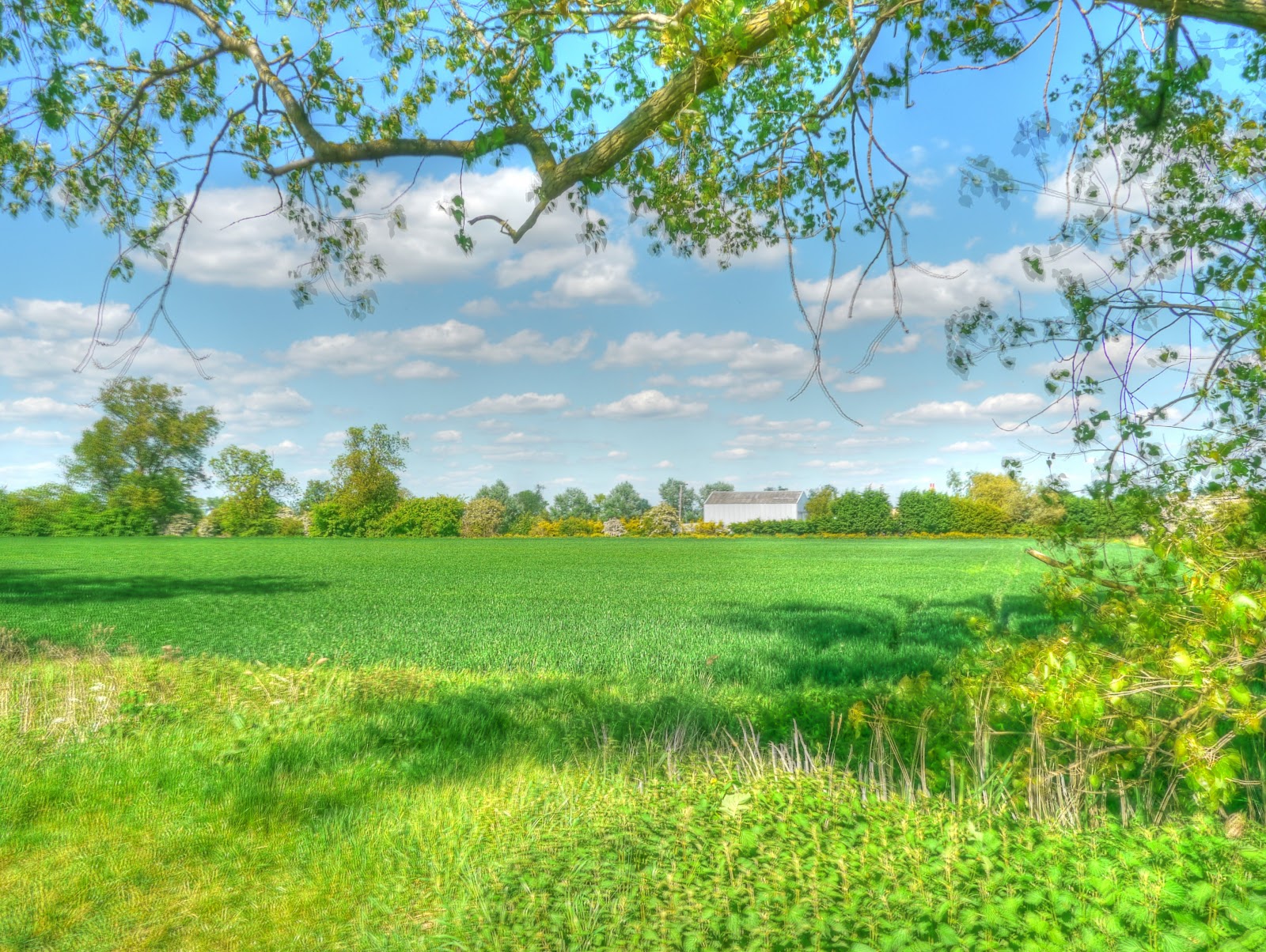 P1110350_48_49_tonemapped.JPG