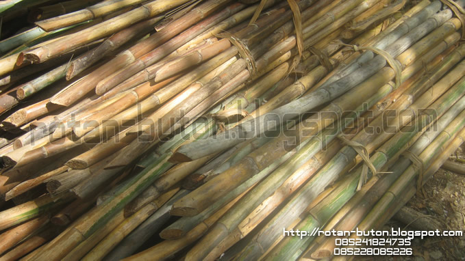 Jual Rotan Murah Rotan Batang Sulawesi Jenis Rotan 