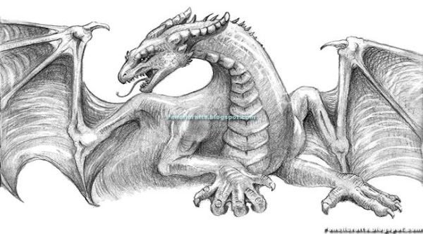 Dragon Pencil Drawings