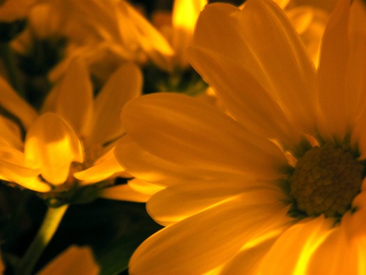 DSCF6592-1